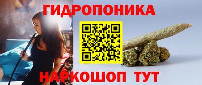 спайс Тара