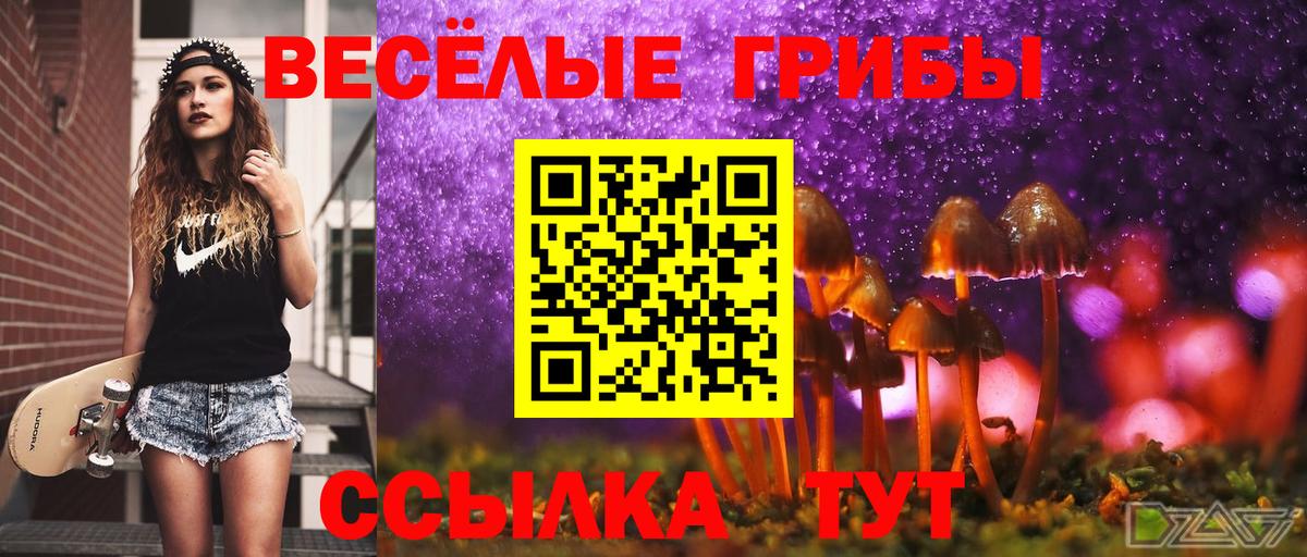 Галлюциногенные грибы мицелий  Вход с VPN  Галлюциногенные грибы Psilocybine cubensis  Нефтекумск 